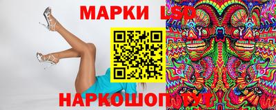 прущие крисы Камышлов