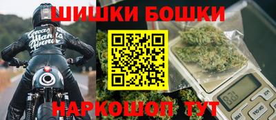 прущие крисы Камышлов