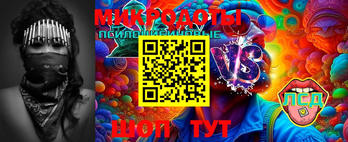 Псилоцибиновые грибы прущие грибы Шелехов
