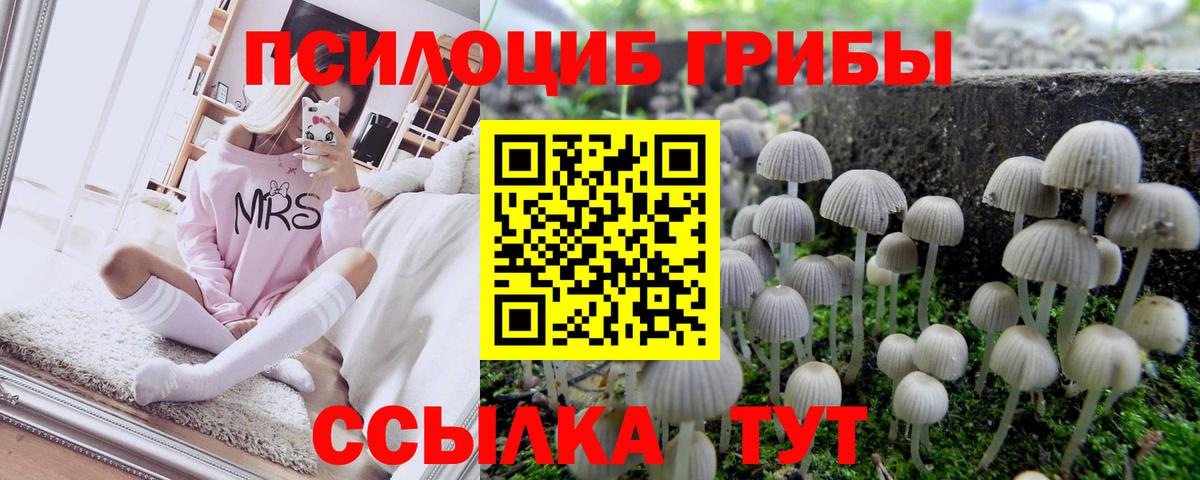 Шелехов  Галлюциногенные грибы мицелий  Вход с VPN  Псилоцибиновые грибы Psilocybe 